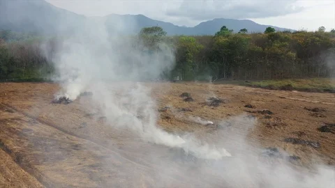 Deforestation and fire Stock Footage 124935447