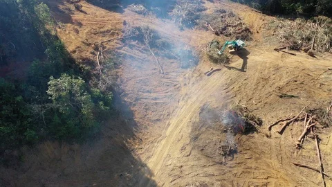 Deforestation and fire Stock Footage 125996476