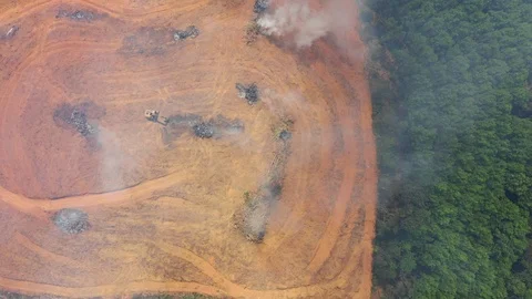 Deforestation and forest fire Stock Footage 104839433