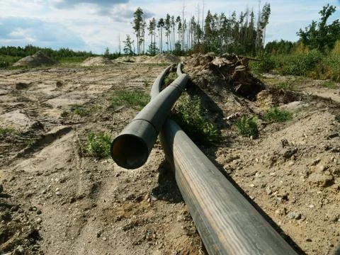 Deforestation and human impact on the environment. The pipes lie in the forest. Stock Photos