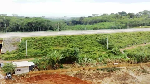 Deforestation and illegal logging drone in asia Stock Footage 151327074