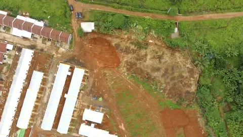 Deforestation and illegal logging drone in asia Stock Footage 151329766