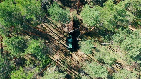 Deforestation and logging concept. Industrial machine works with trees in forest Stock Footage 116428367