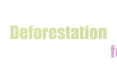 Deforestation Animated Wordcloud Isolated On White Video stock 107208057