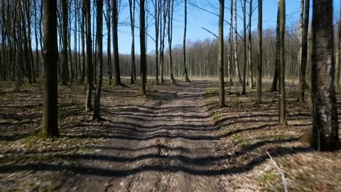 Deforestation of beautiful pristine forest areas. Video stock 152332044