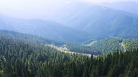 Deforestation from a bird's eye view Stock Footage 170780999