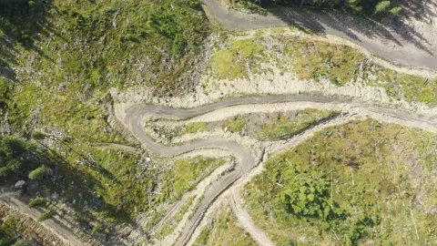 Deforestation from a bird's eye view Stock Footage 170781064