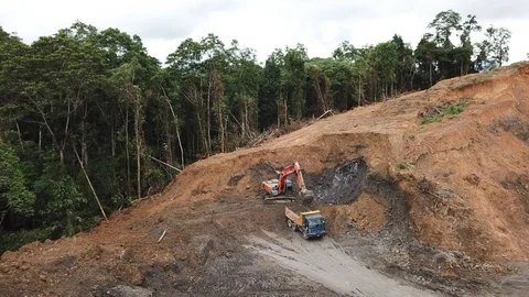 Deforestation in Borneo Vídeos de archivo 90303730
