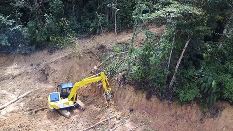 Deforestation in Borneo 動画素材 91208255