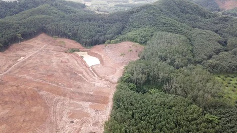 Deforestation in Borneo Stock Footage 91372136