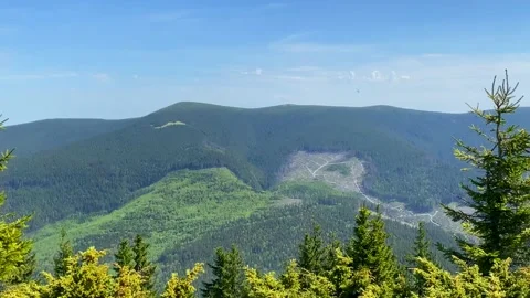 Deforestation of Carpathian Mountains 2 Stock Footage 146939440