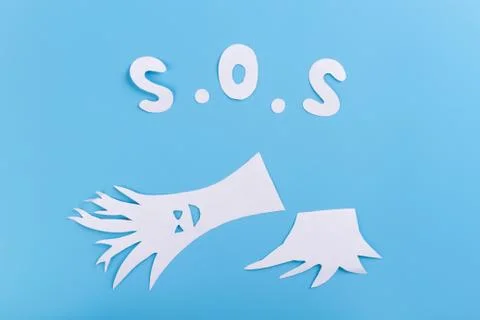 Deforestation concept image Stock Photos