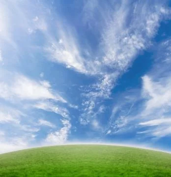 Deforestation concept Stock Photos