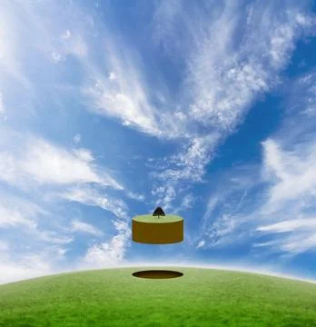 Deforestation concept Stock Photos
