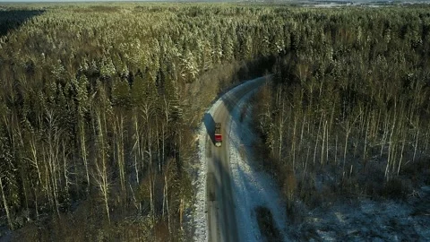 Deforestation of coniferous forests in Siberia Video stock 169867776