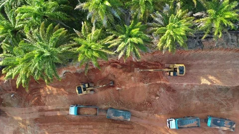 Deforestation at construction site Stock Footage 128890247