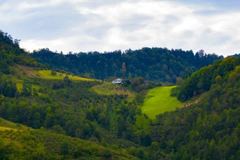 Deforestation. Cut down the forest on the hills for agricultural fields. Stock Photos