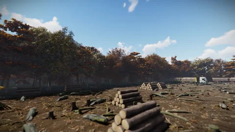 Deforestation , cut down wood, logs piled and trucks ready to load Video stock 251711009