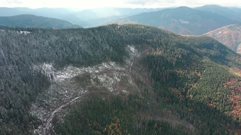 Deforestation, destruction of trees in the mountains. Vast areas of forest after Stock Footage 241662163