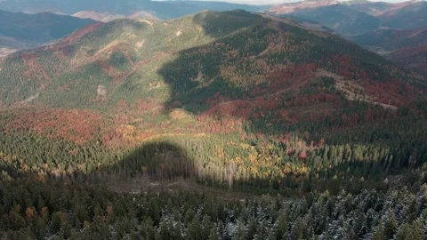 Deforestation, destruction of trees in the mountains. Vast areas of forest after Stock Footage 241662592