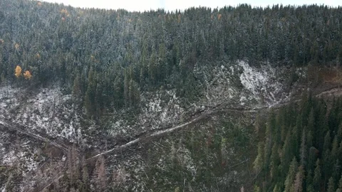 Deforestation, destruction of trees in the mountains. Vast areas of forest after Stock Footage 245440724