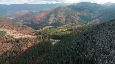 Deforestation, destruction of trees in the mountains. Vast areas of forest after Stock Footage 245441245