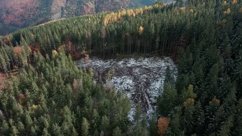 Deforestation, destruction of trees in the mountains. Vast areas of forest after Stock Footage 245803865