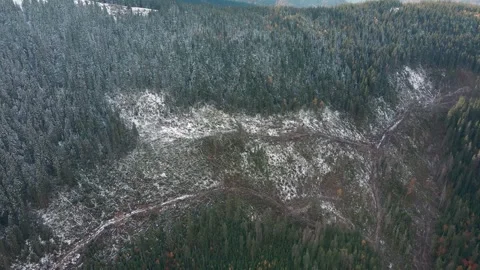 Deforestation, destruction of trees in the mountains. Vast areas of forest after Stock Footage 245820856