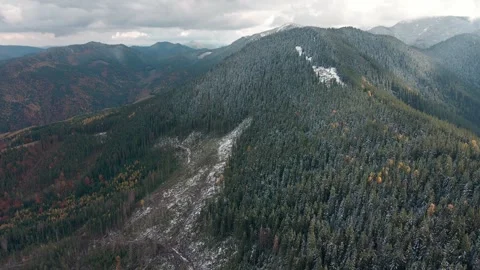 Deforestation, destruction of trees in the mountains. Vast areas of forest after Stock Footage 245821395