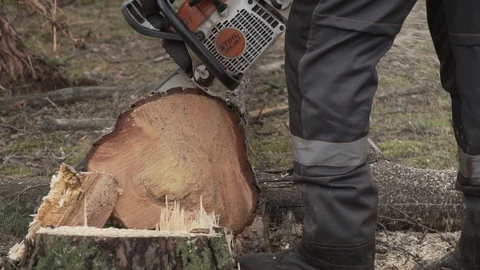 Deforestation, disaster, dying forest Stock Footage 114417470