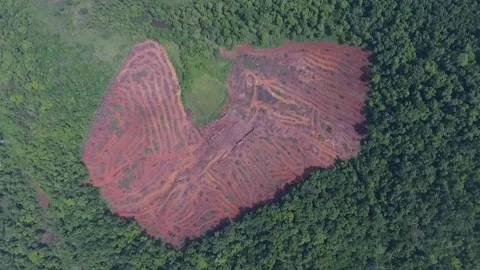 Deforestation Drone shot Stock Footage