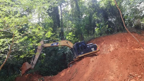 Deforestation. Excavator clearing rainforest 스톡 동영상 117757953