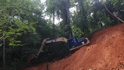 Deforestation. Excavator clearing rainforest Video stock 117758206
