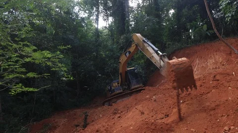 Deforestation. Excavator clearing rainforest 스톡 동영상 117759245