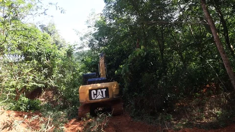 Deforestation. Excavator clearing rainforest 스톡 동영상 117762998