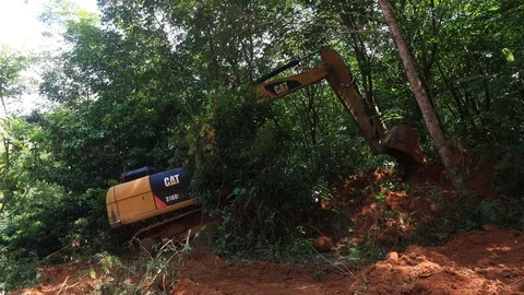 Deforestation. Excavator clearing rainforest Vidéo 117763343