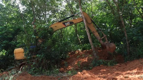 Deforestation. Excavator clearing rainforest Vídeos de archivo 117764345