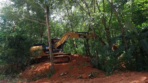 Deforestation. Excavator clearing rainforest Vidéo 117765846