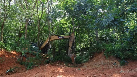 Deforestation. Excavator clearing rainforest Vídeos de archivo 117767575