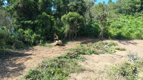 Deforestation. Excavator clearing rainforest Stockbeeldmateriaal 120906992