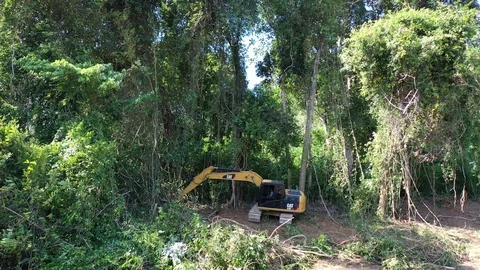 Deforestation. Excavator clearing rainforest 스톡 동영상 120907885