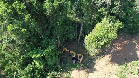 Deforestation. Excavator clearing rainforest Stockbeeldmateriaal 120916763