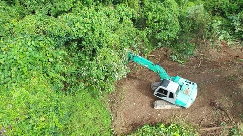 Deforestation. Excavator clearing rainforest Video stock 120920574