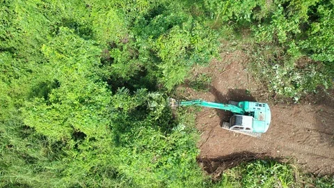 Deforestation. Excavator clearing rainforest Vídeos de archivo 120920649