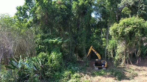 Deforestation. Excavator clearing rainforest Stock Footage 121150145
