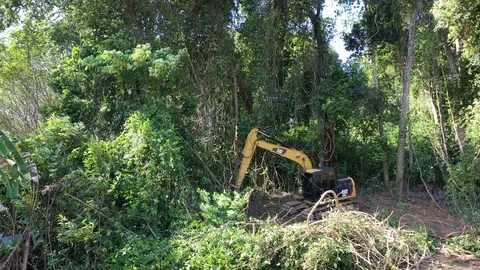Deforestation. Excavator clearing rainforest 스톡 동영상 121150263