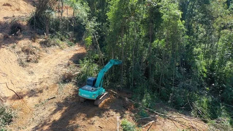 Deforestation. Excavator clearing rainforest 스톡 동영상 121188224