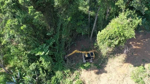 Deforestation. Excavator clearing rainforest Video stock 122126897