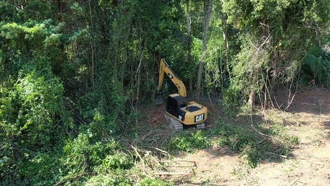 Deforestation. Excavator clearing rainforest Stock Footage 122145000