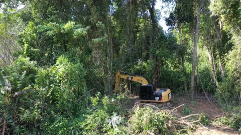 Deforestation. Excavator clearing rainforest Stockbeeldmateriaal 122658567